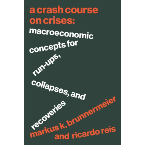 Princeton University Press A Crash Course on Crises (häftad, eng)