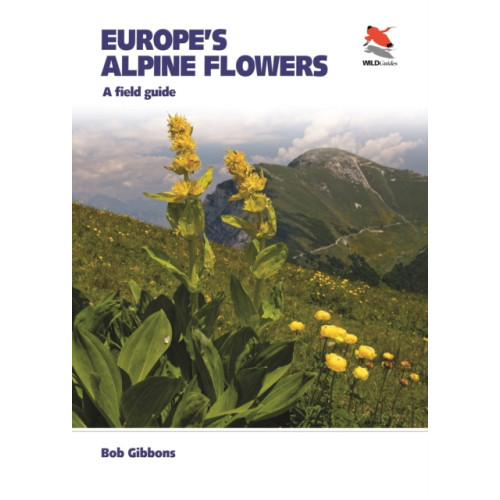 Princeton University Press Europe's Alpine Flowers (häftad, eng)