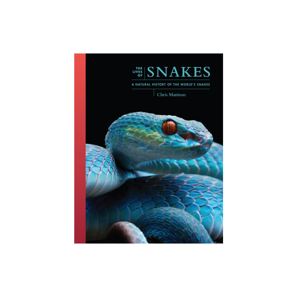 Produktbild för The Lives of Snakes (inbunden, eng)