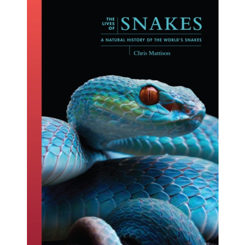 Princeton University Press The Lives of Snakes (inbunden, eng)