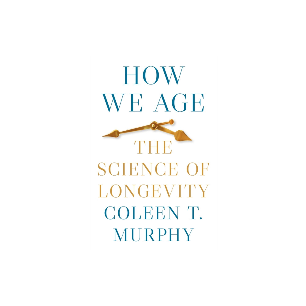 Produktbild för How We Age (häftad, eng)