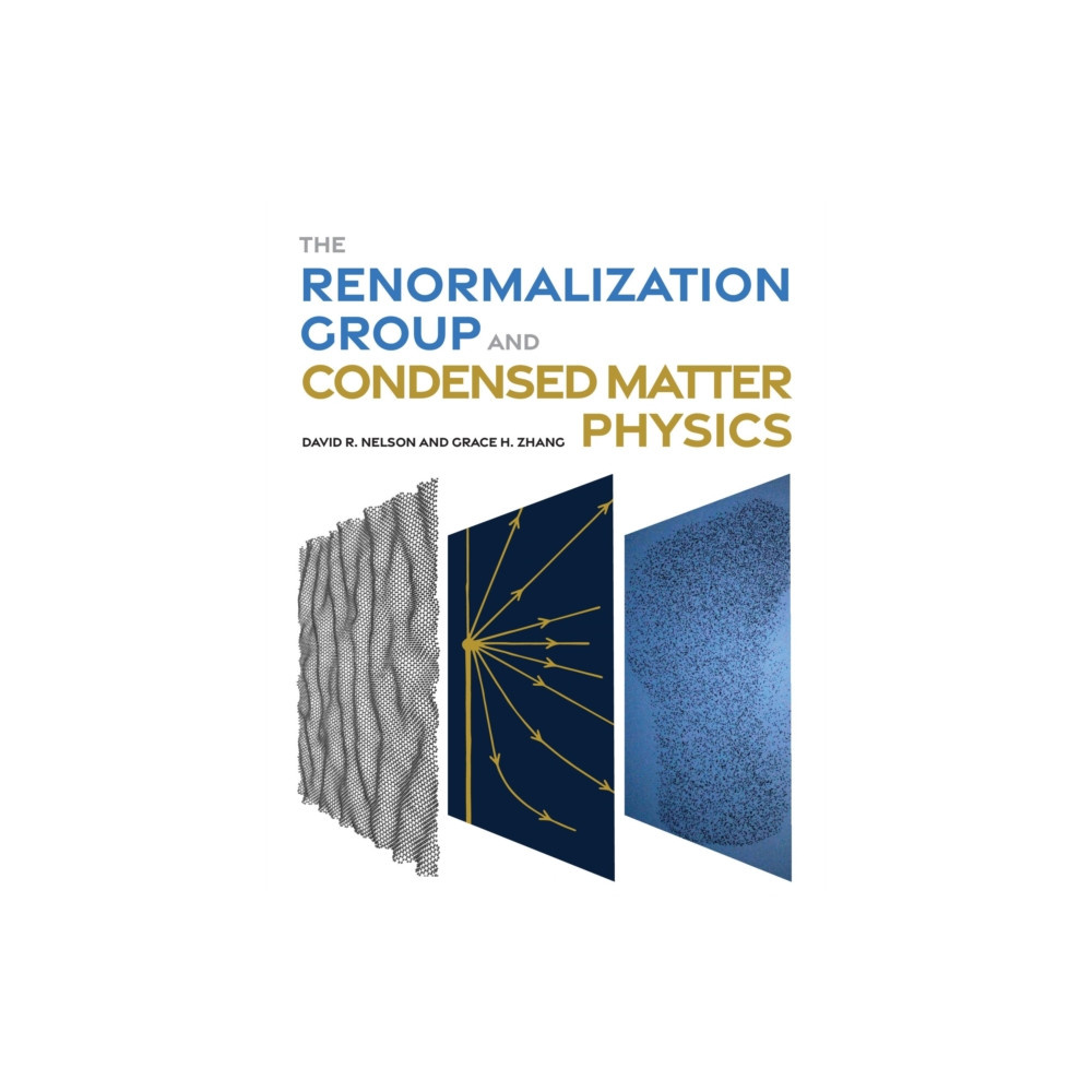 Produktbild för The Renormalization Group and Condensed Matter Physics (inbunden, eng)