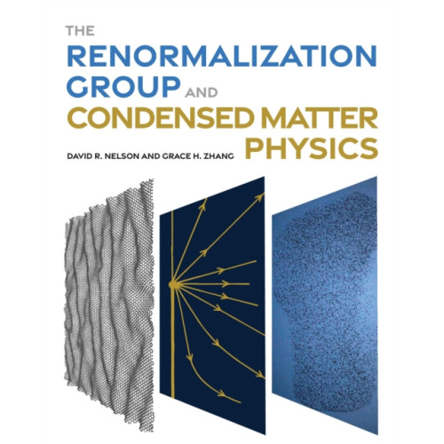 Princeton University Press The Renormalization Group and Condensed Matter Physics (inbunden, eng)