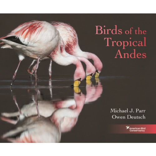 Princeton University Press Birds of the Tropical Andes (inbunden, eng)