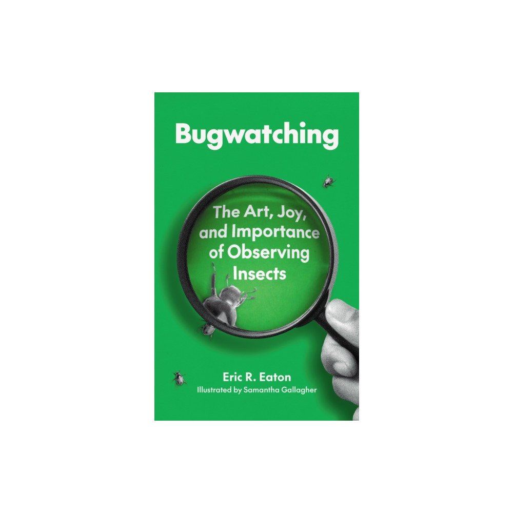 Produktbild för Bugwatching (häftad, eng)