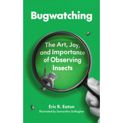 Princeton University Press Bugwatching (häftad, eng)