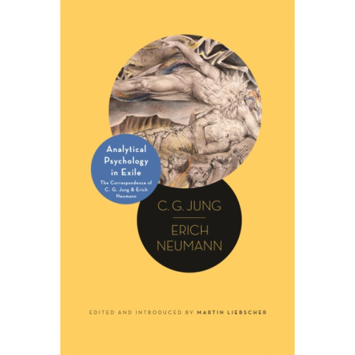 Princeton University Press Analytical Psychology in Exile (häftad, eng)