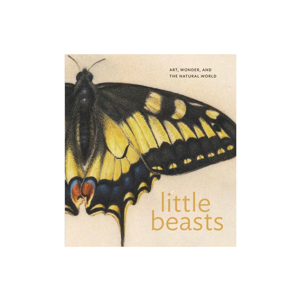 Produktbild för Little Beasts (inbunden, eng)