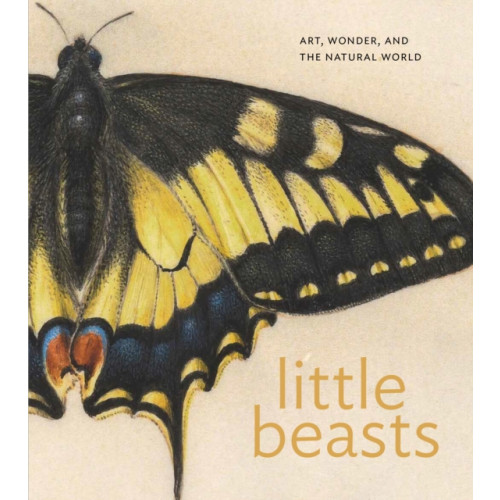 Princeton University Press Little Beasts (inbunden, eng)