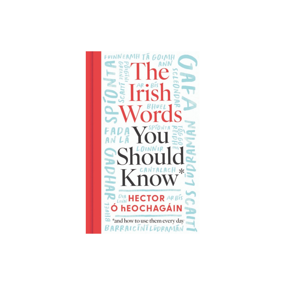 Produktbild för The Irish Words You Should Know (inbunden, eng)