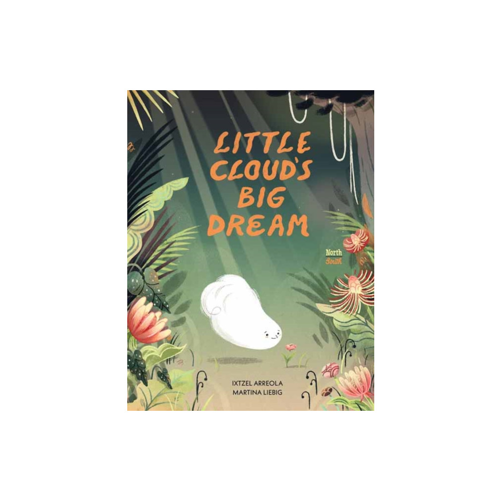 Produktbild för Little Cloud's Big Dream (inbunden, eng)