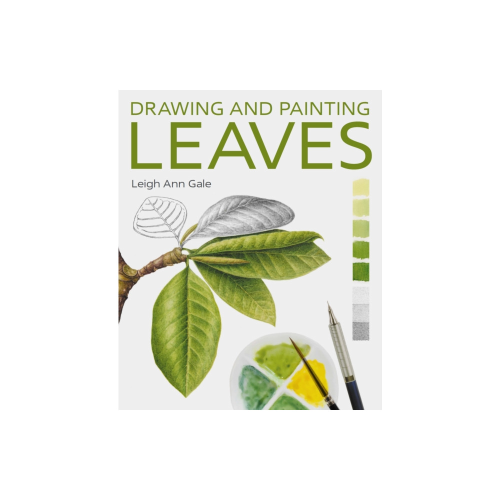 Produktbild för Drawing and Painting Leaves (häftad, eng)