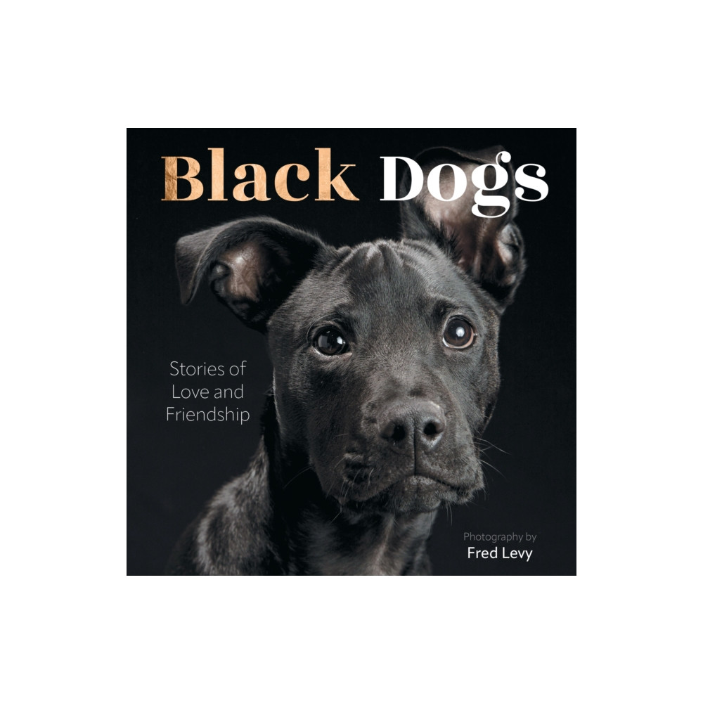 Produktbild för Black Dogs (inbunden, eng)
