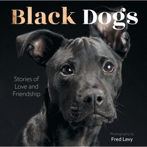Quarto Publishing Group USA Inc Black Dogs (inbunden, eng)