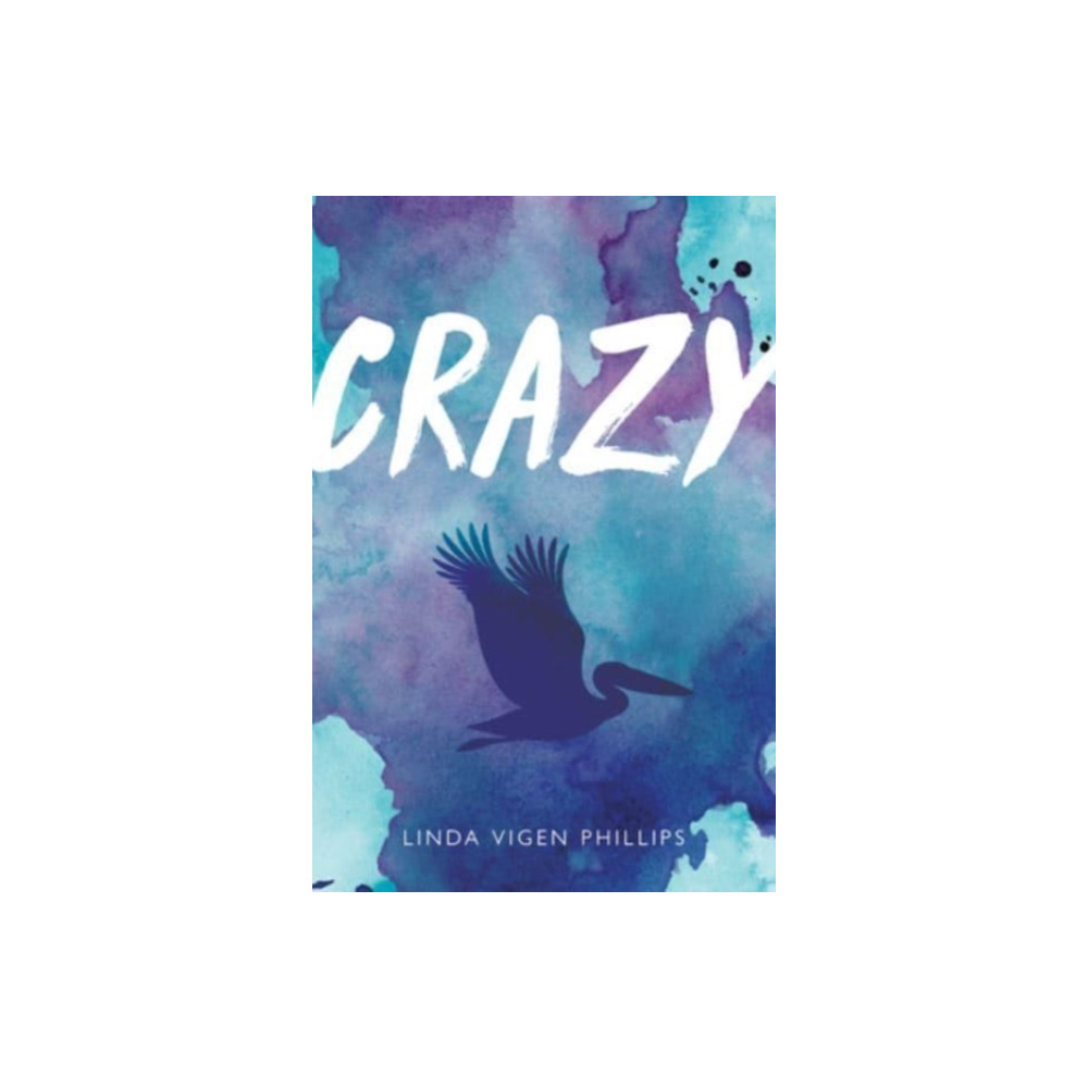 Produktbild för Crazy (Tenth Anniversary Edition) (häftad, eng)