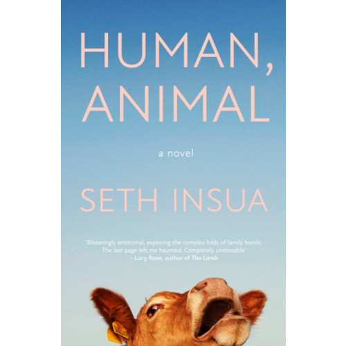 Verve Books Human, Animal (häftad, eng)