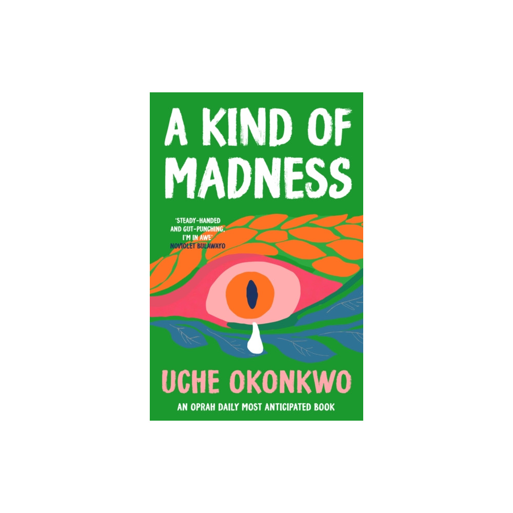 Produktbild för A Kind of Madness (häftad, eng)