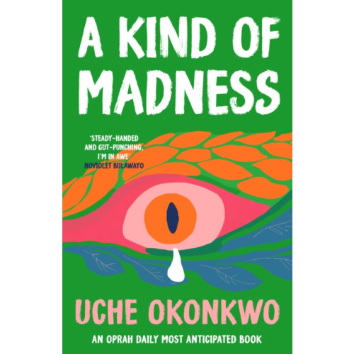 Verve Books A Kind of Madness (häftad, eng)