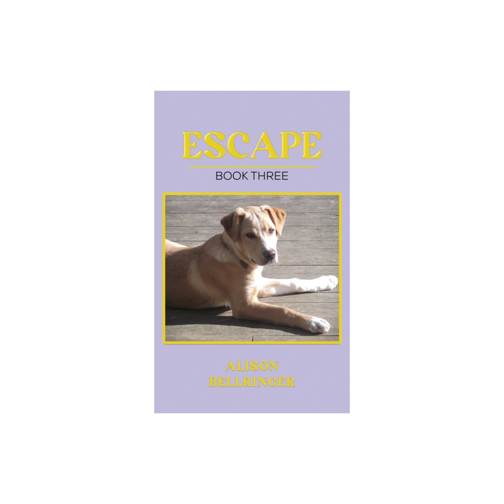 Produktbild för Escape (häftad, eng)