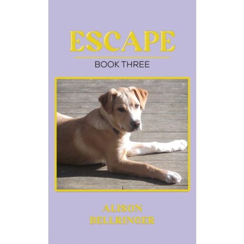 Austin Macauley Publishers Escape (häftad, eng)