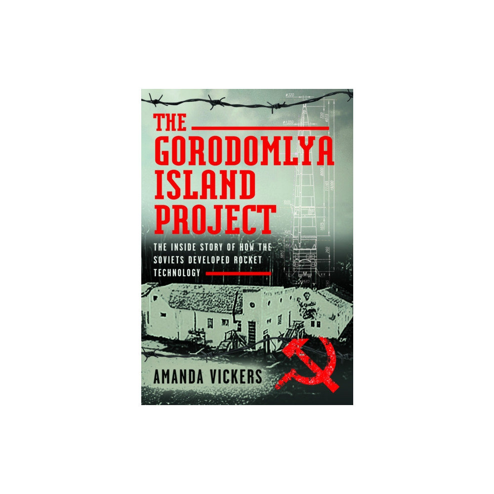 Produktbild för The Gorodomlya Island Project (inbunden, eng)