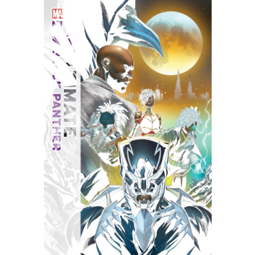 Marvel Comics Ultimate Black Panther by Bryan Hill Vol. 2: Gods and Kings (häftad, eng)