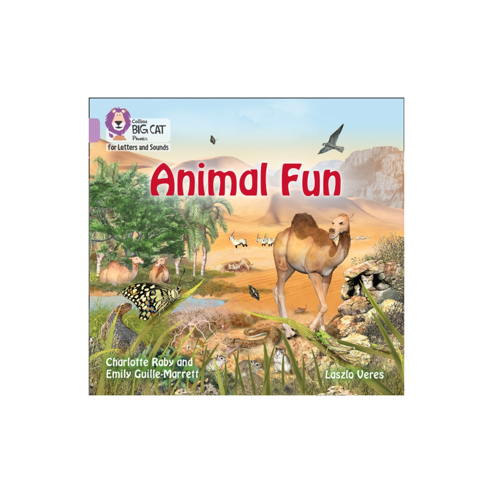 Produktbild för Animal Fun (häftad, eng)