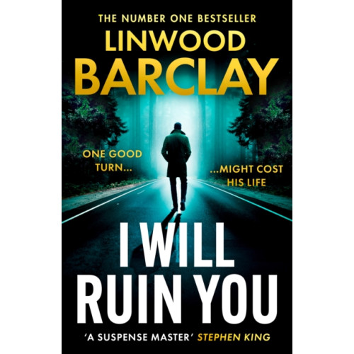 HarperCollins Publishers I Will Ruin You (häftad, eng)