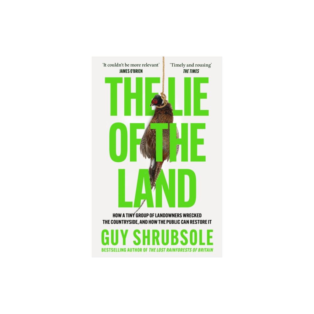Produktbild för The Lie of the Land (häftad, eng)