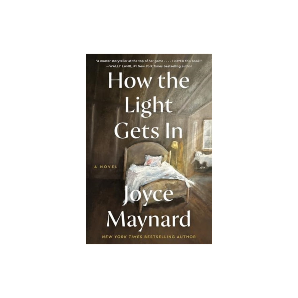 Produktbild för How the Light Gets In (häftad, eng)