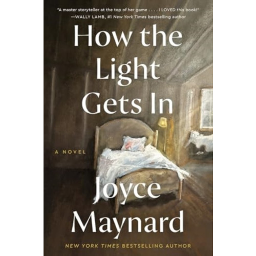 Harpercollins publishers inc How the Light Gets In (häftad, eng)