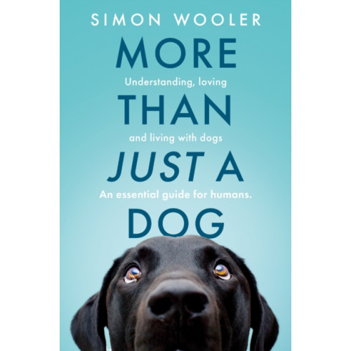 HarperCollins Publishers More Than Just a Dog (häftad, eng)