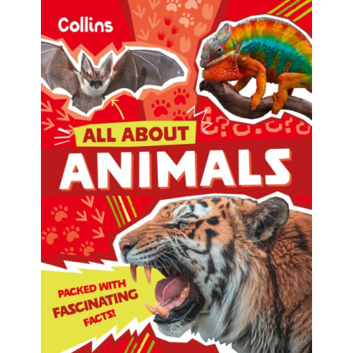 HarperCollins Publishers Animals (häftad, eng)