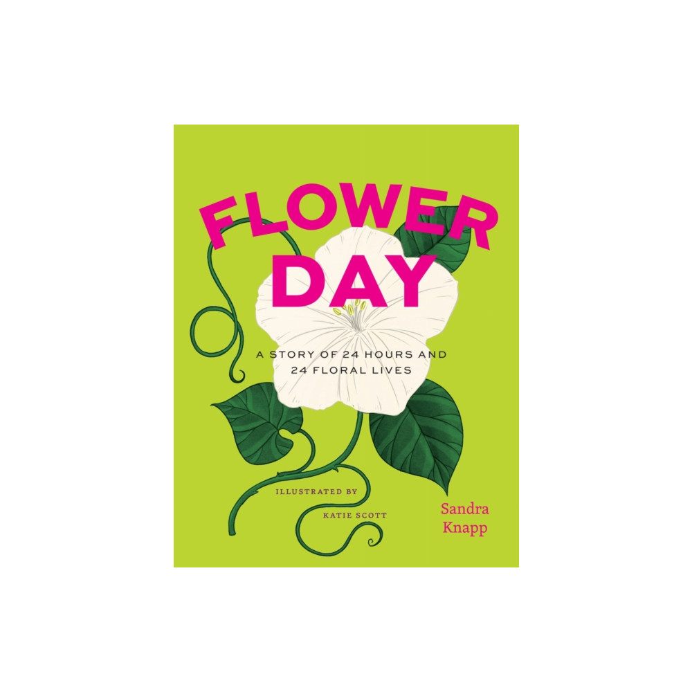 Produktbild för Flower Day (inbunden, eng)