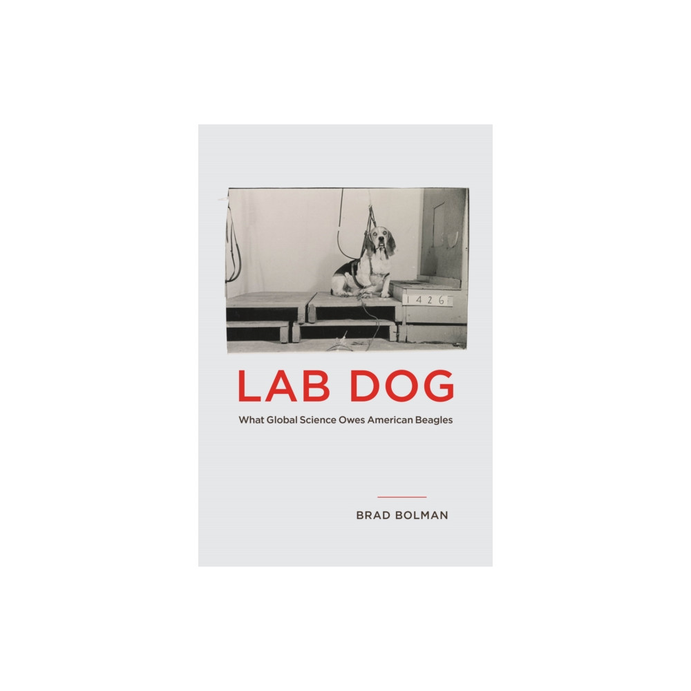 Produktbild för Lab Dog (häftad, eng)