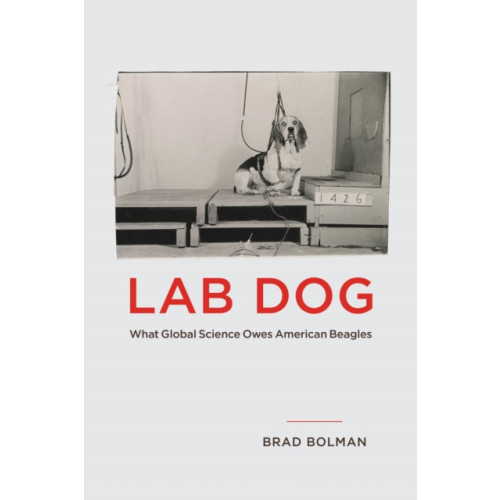 The university of chicago press Lab Dog (häftad, eng)