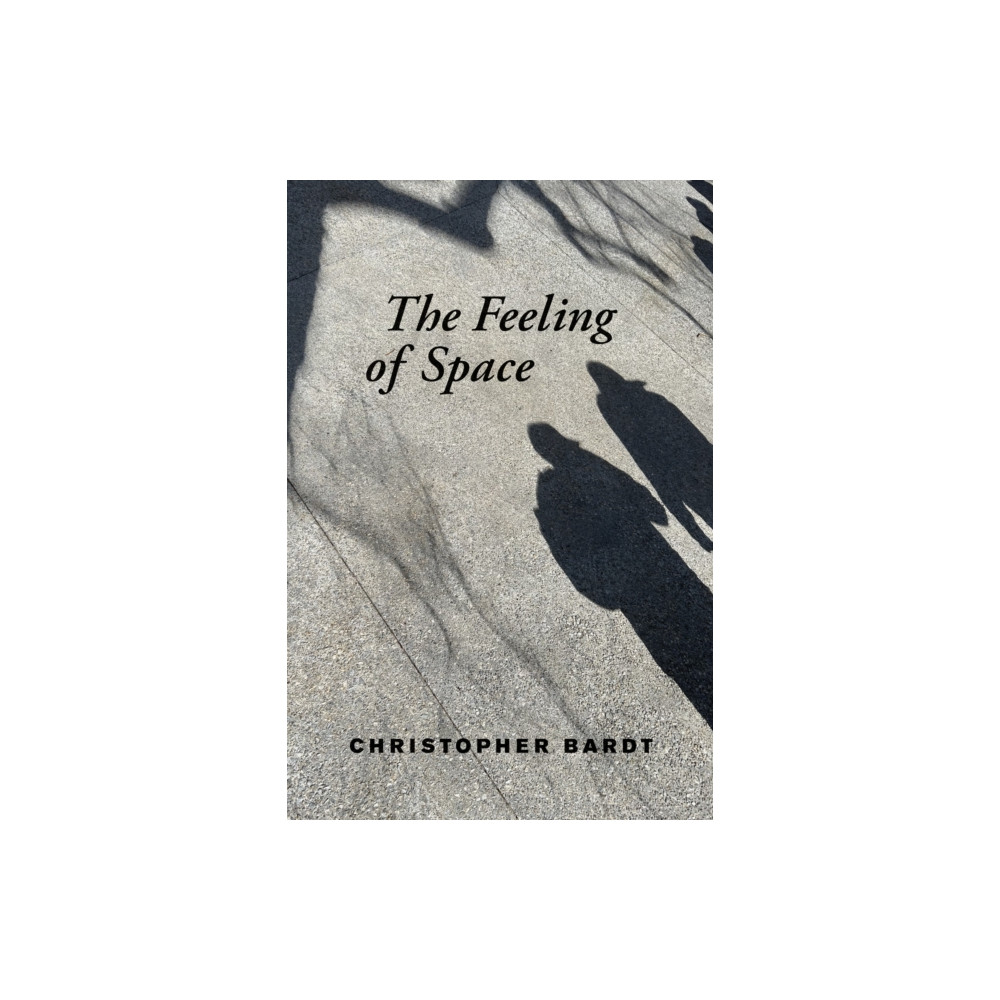 Produktbild för The Feeling of Space (häftad, eng)
