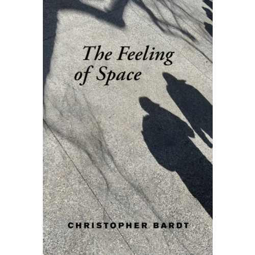 Mit press ltd The Feeling of Space (häftad, eng)