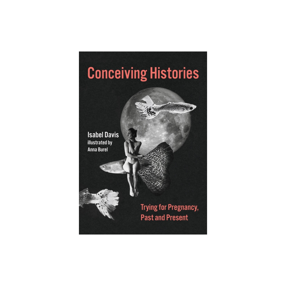 Produktbild för Conceiving Histories (inbunden, eng)