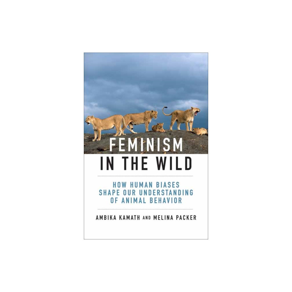 Produktbild för Feminism in the Wild (häftad, eng)