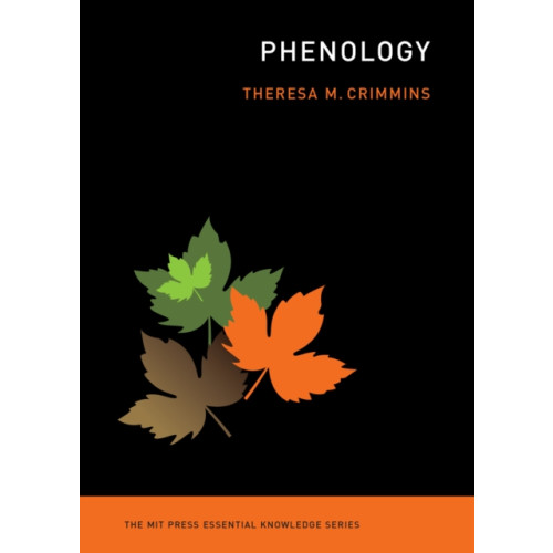 Mit press ltd Phenology (häftad, eng)
