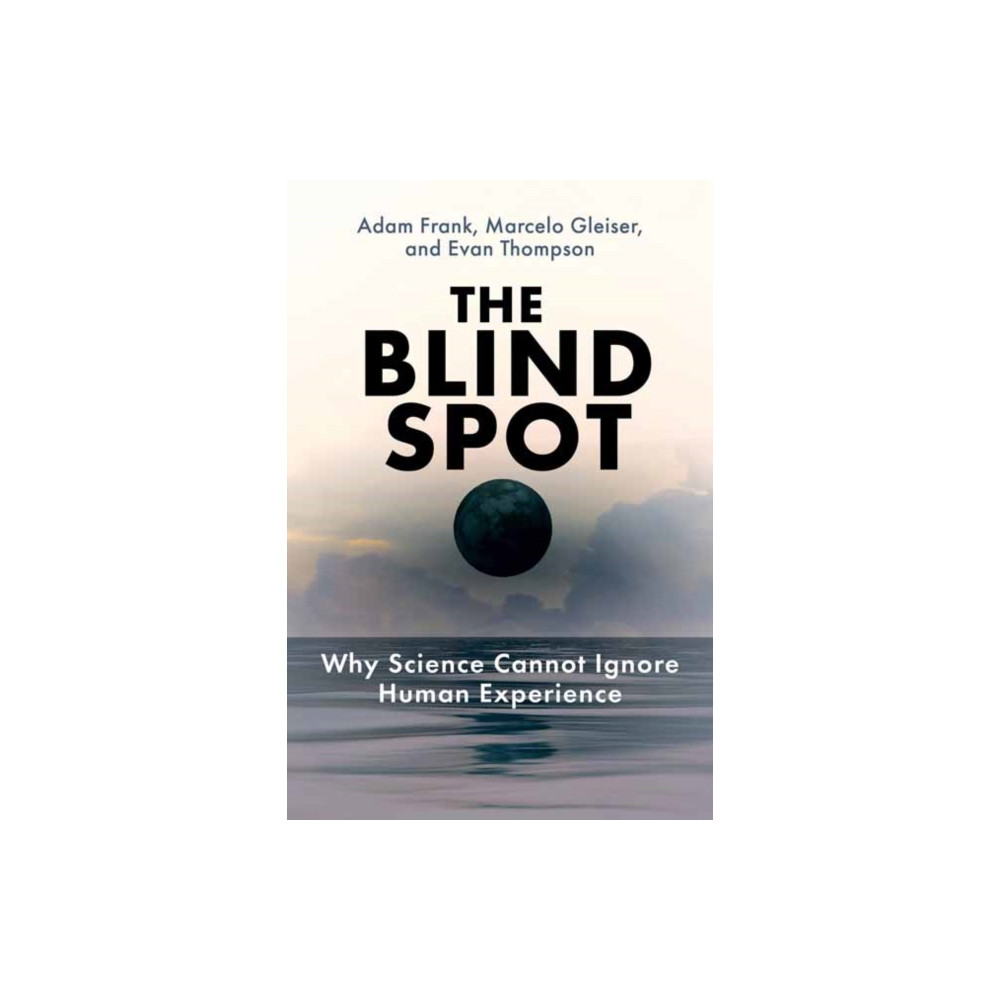 Produktbild för The Blind Spot (häftad, eng)