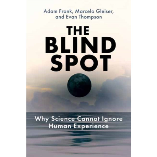 Mit press ltd The Blind Spot (häftad, eng)