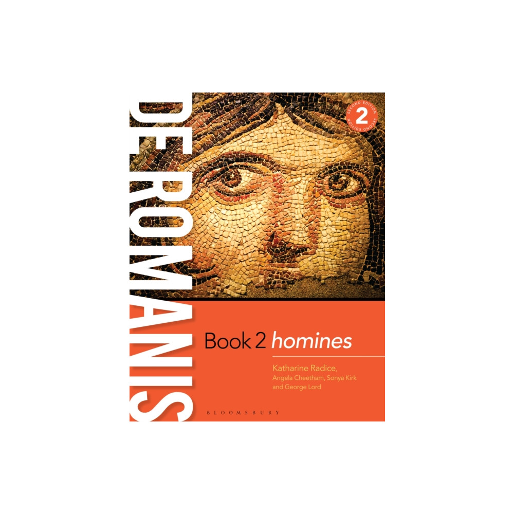 Produktbild för de Romanis Book 2 (2nd edition) (häftad, eng)