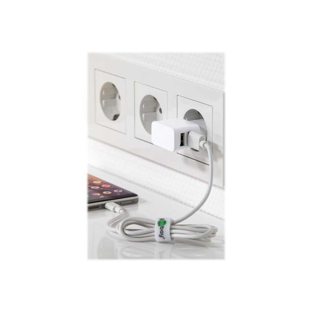 Produktbild för goobay USB-C charger set strömadapter - USB - 12 watt