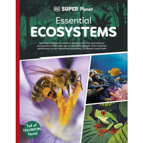 Dorling Kindersley Ltd DK Super Planet Essential Ecosystems (häftad, eng)