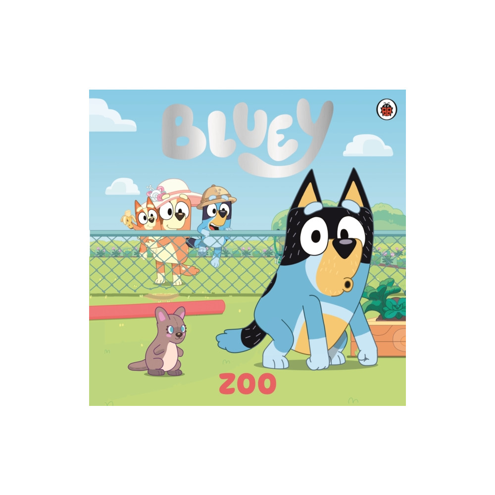 Produktbild för Bluey: Zoo (häftad, eng)
