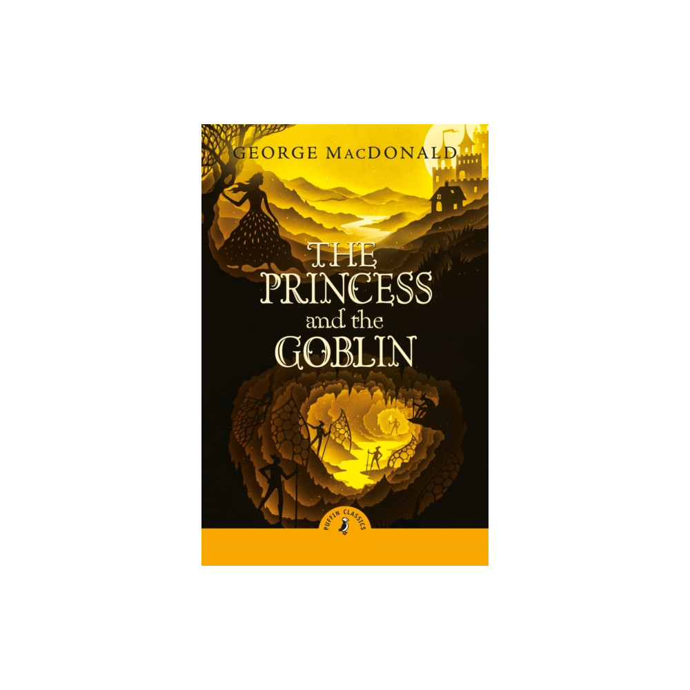 Produktbild för The Princess and the Goblin (häftad, eng)