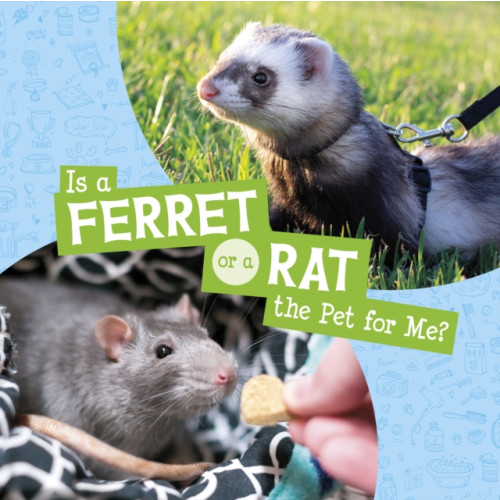 Capstone Global Library Ltd Is a Ferret or a Rat the Pet for Me? (inbunden, eng)