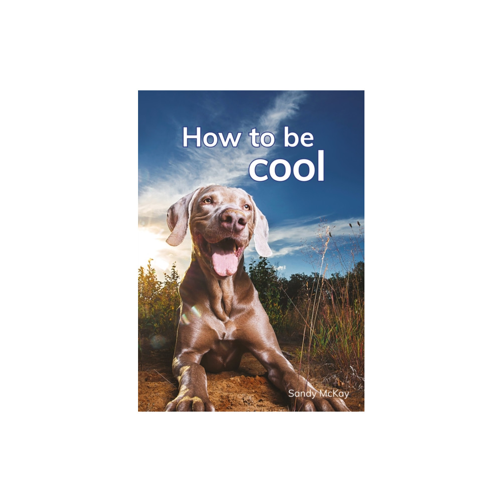 Produktbild för How to be cool (häftad, eng)